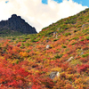 安達太良山の秋(4)
