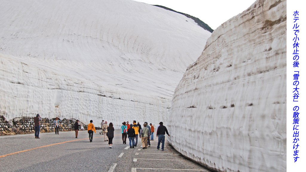 残雪の立山・黒部アルペンルート2006(31)