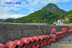 郷山・天狗城山(293m)と漁港のたこつぼ