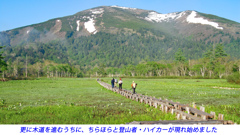 初夏の尾瀬の山旅2007(5)