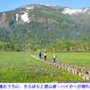 初夏の尾瀬の山旅2007(5)