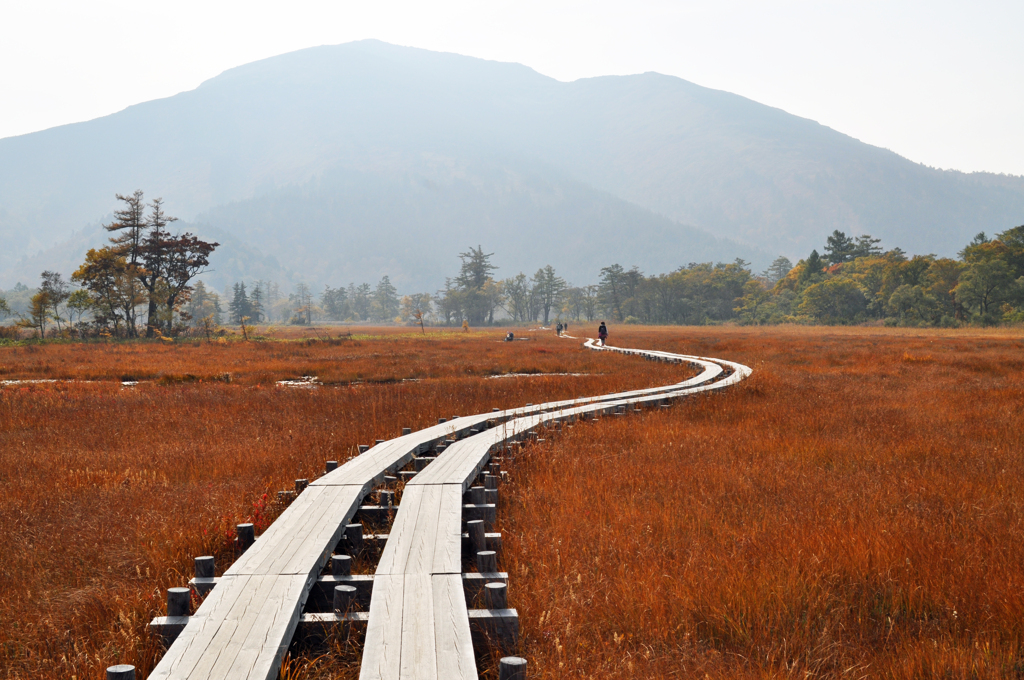 尾瀬ヶ原の木道(1)