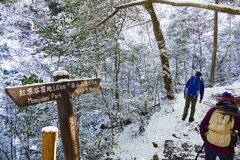 雪化粧の宮島2015(7)
