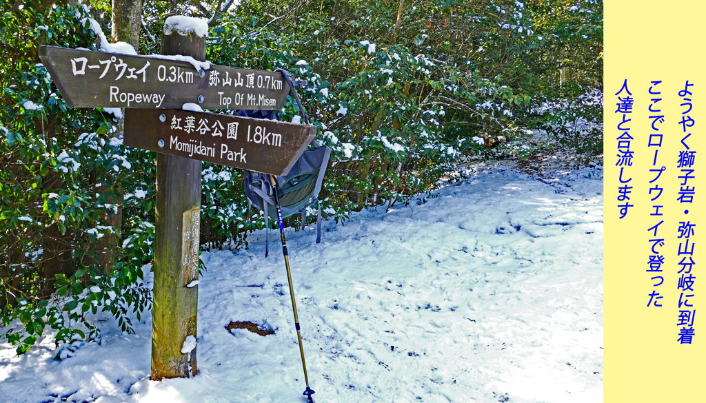 宮島・弥山(みせん)2015：しま山100選・広島県廿日市市(39)