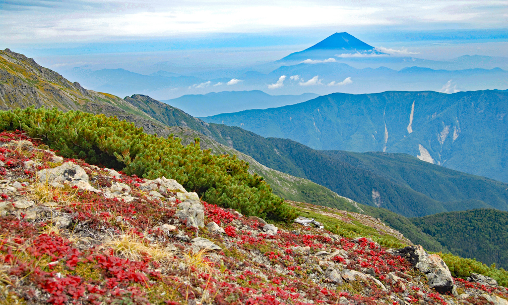 草紅葉と富士を見ながら荒川中岳へ向かう
