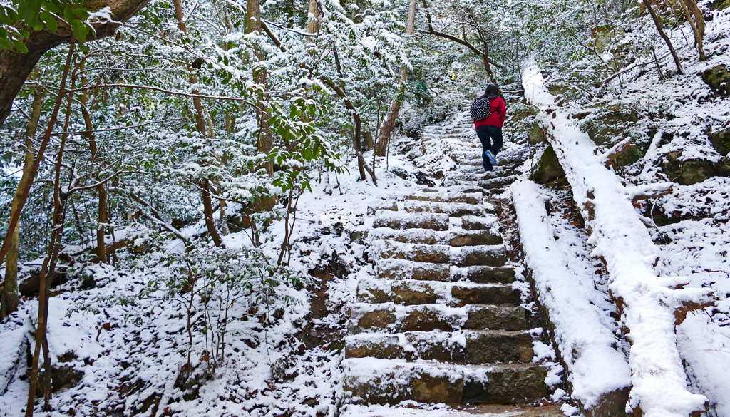 宮島・弥山(みせん)2015：しま山100選・広島県廿日市市(38)