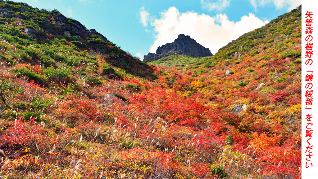 安達太良山紅葉狩り2014(38)