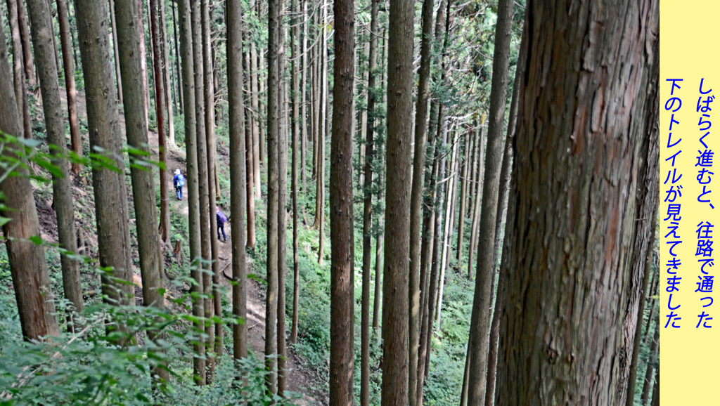 リハビリ山行：御岳山2014(52)