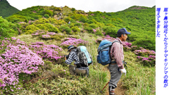 ミヤマキリシマ探訪山行 in 九重連峰2012：1日目(4)