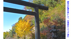 鎌倉アルプス紅葉狩り2014(11)