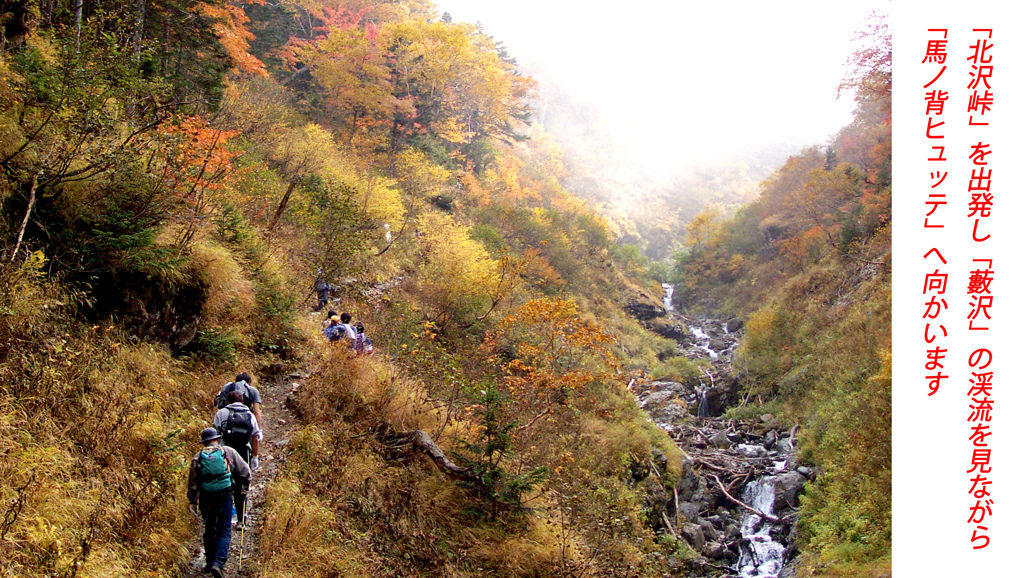 仙丈ケ岳登頂の山旅2001：1日目(2)