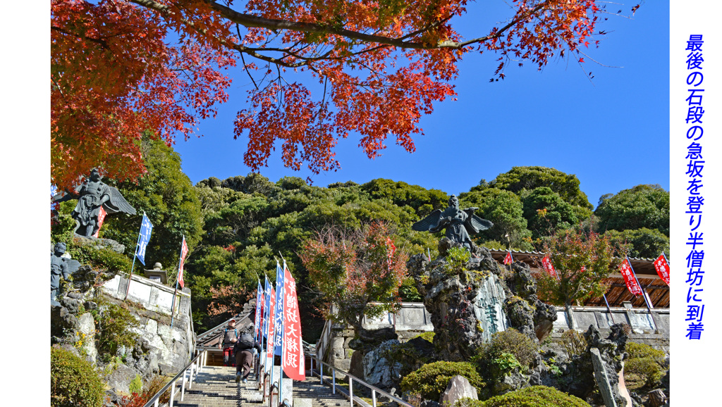 鎌倉アルプス紅葉狩り2014(15)