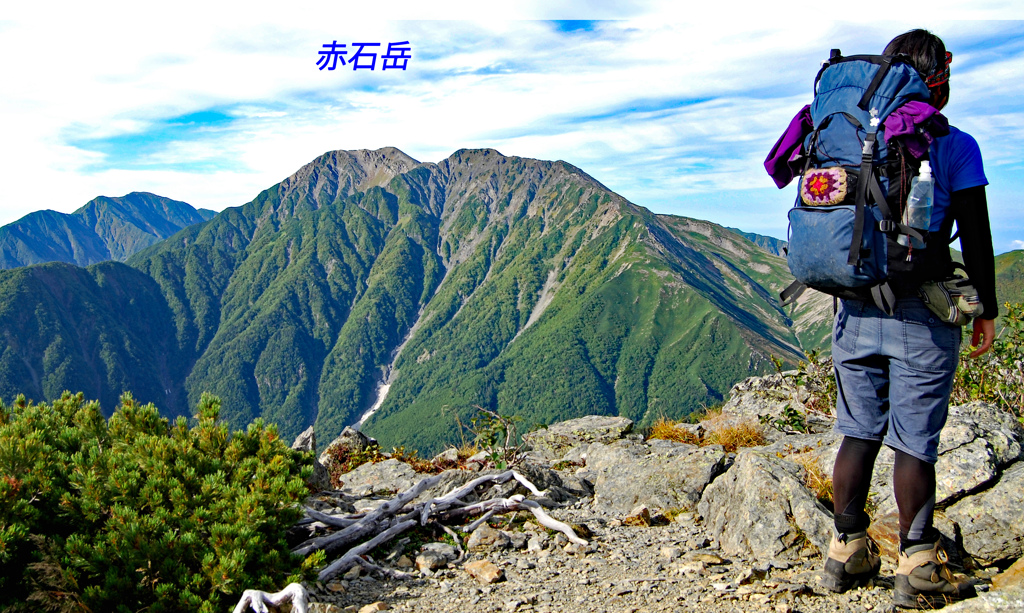 千枚岳より望む小赤石岳・赤石岳・聖岳