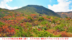 安達太良山紅葉狩り2014(28)