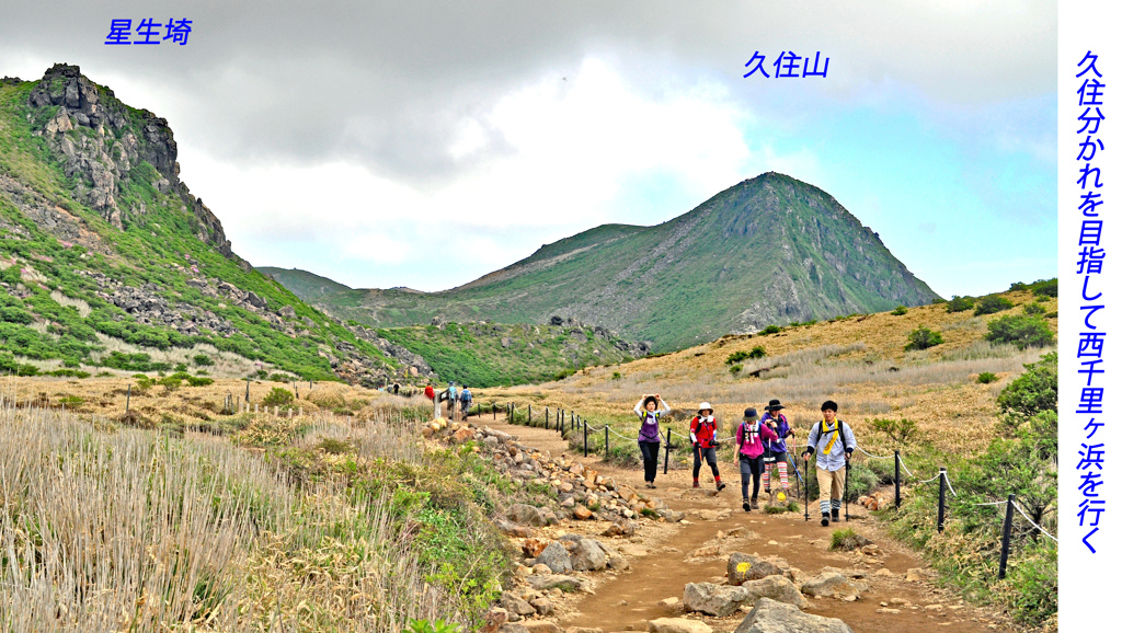 ミヤマキリシマ探訪山行 in 九重連峰2012：1日目(10)