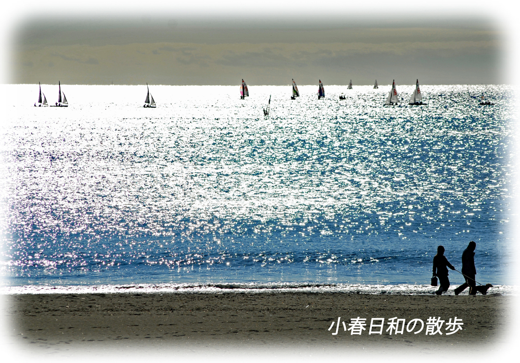 江の島周辺フォト散歩 2008～2015 (21)
