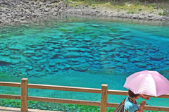 九寨溝で最も美しいとされるコバルトブルーの五彩池