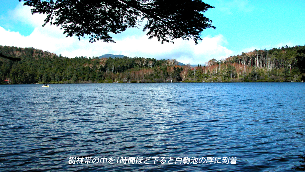 北八ヶ岳の山旅2004(17)