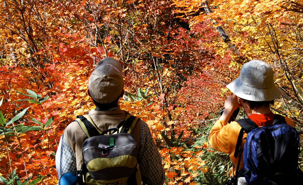 紅葉に魅了されるトレッカー(雨飾山)