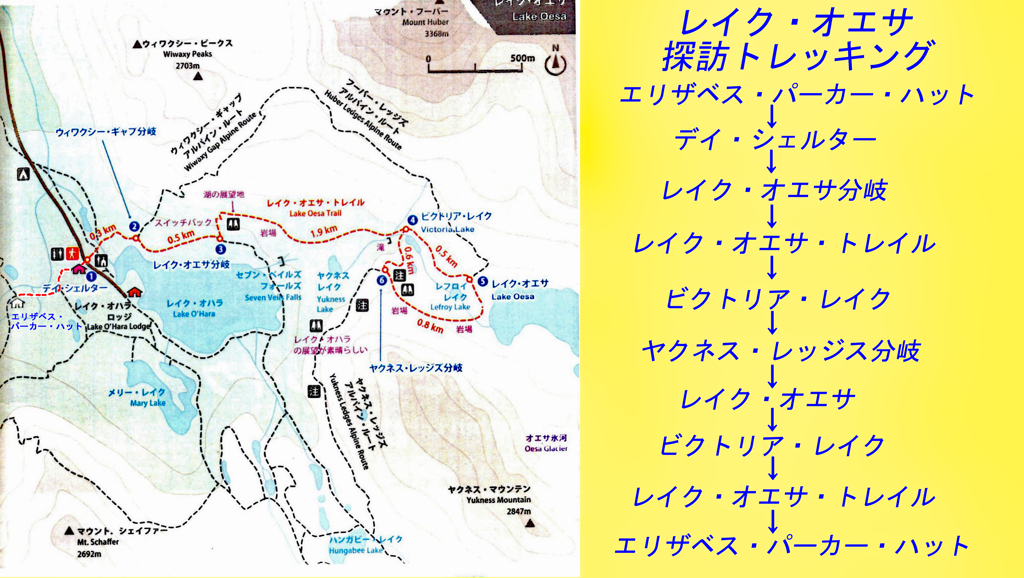 カナダ・レイクオハラエリア C レイクオエサ探訪2018(2)