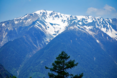 長大な山容の間ノ岳