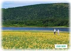 雄国沼のニッコウキスゲ2009(15)