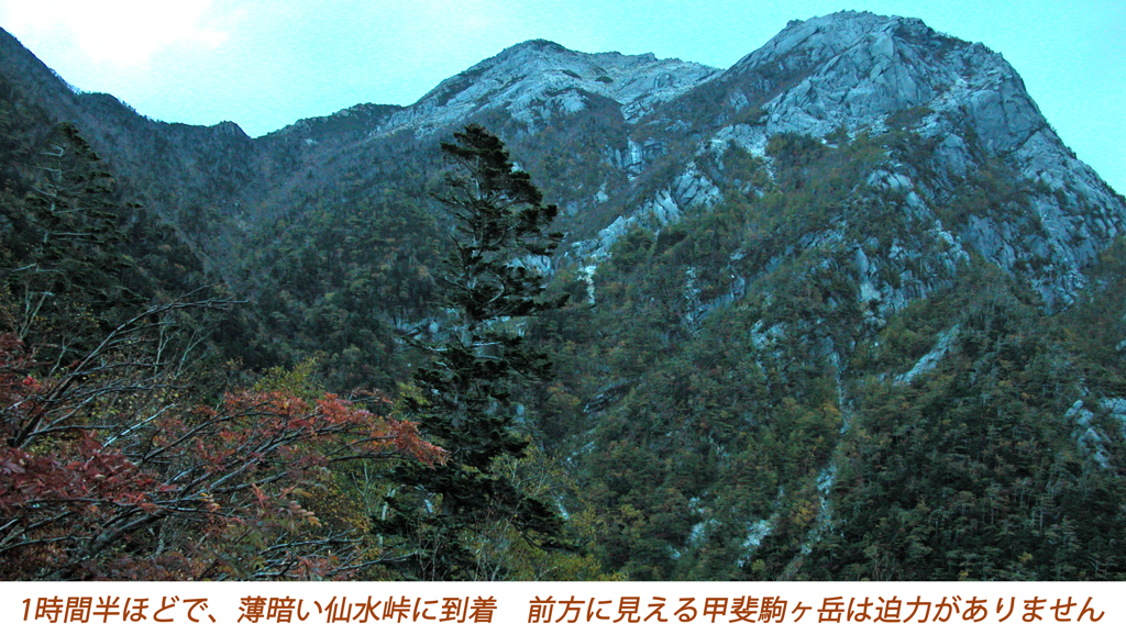 甲斐駒ヶ岳登頂の山旅2005(4)