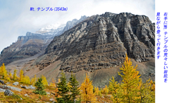 カナダの山旅2016B：ラーチバレー・センチネルパストレッキング(13)