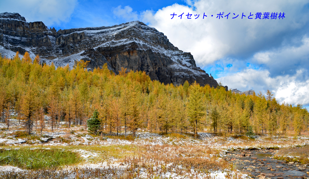 カナダの山旅C　アシニボイン山麓トレッキング(1)：ワンダー・パス(19)