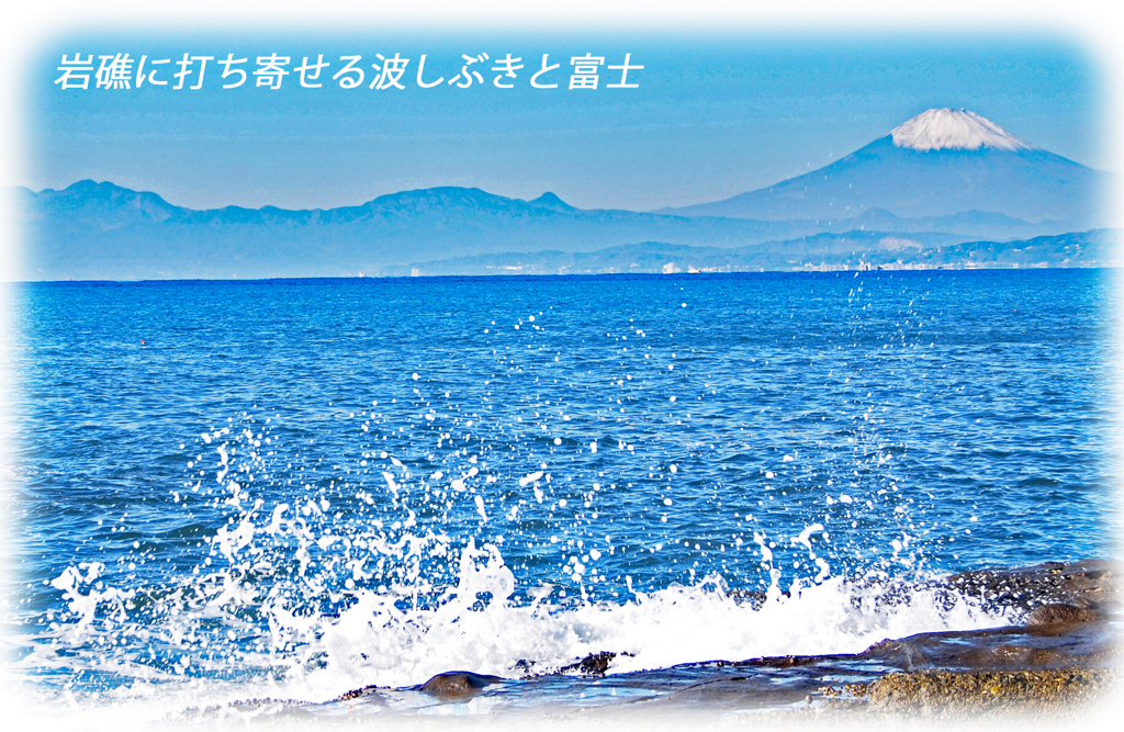 江の島周辺フォト散歩 2008～2015 (12)　
