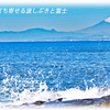 江の島周辺フォト散歩 2008～2015 (12)　