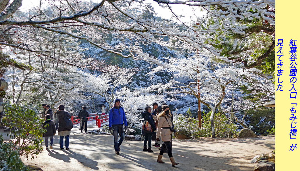 宮島・弥山(みせん)2015：しま山100選・広島県廿日市市(20)