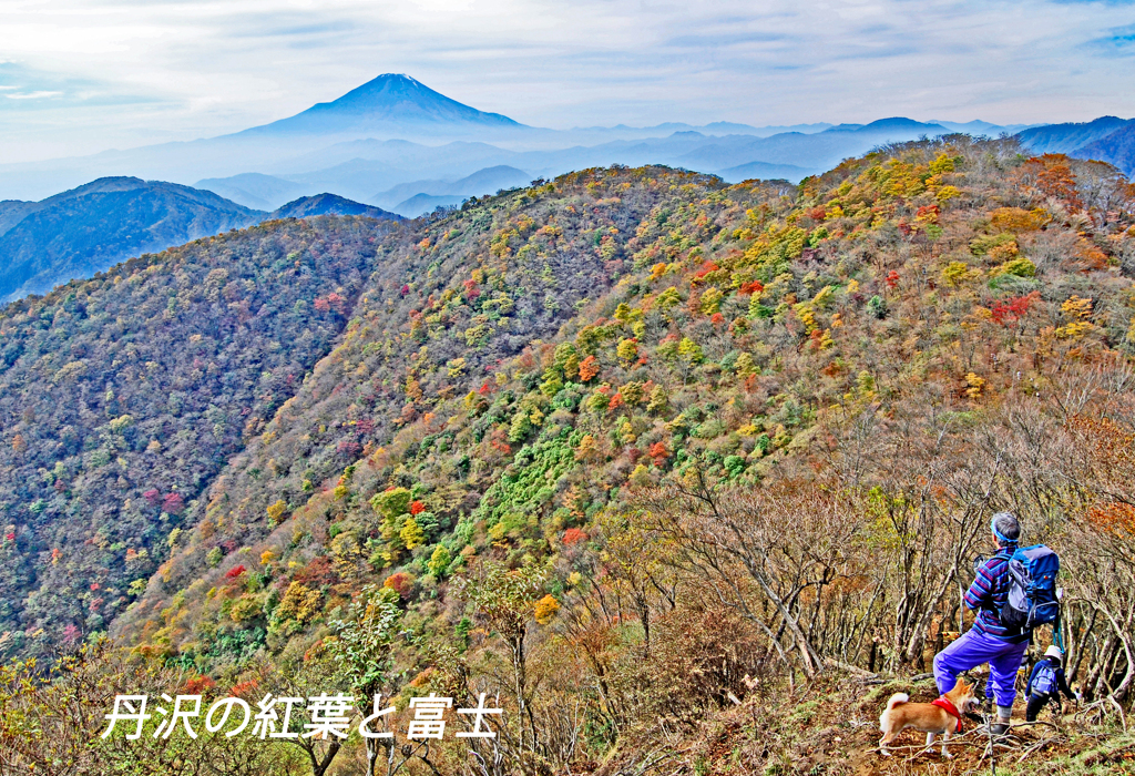 丹沢・塔ノ岳登頂セレクト写真集 2008～2018 (18)