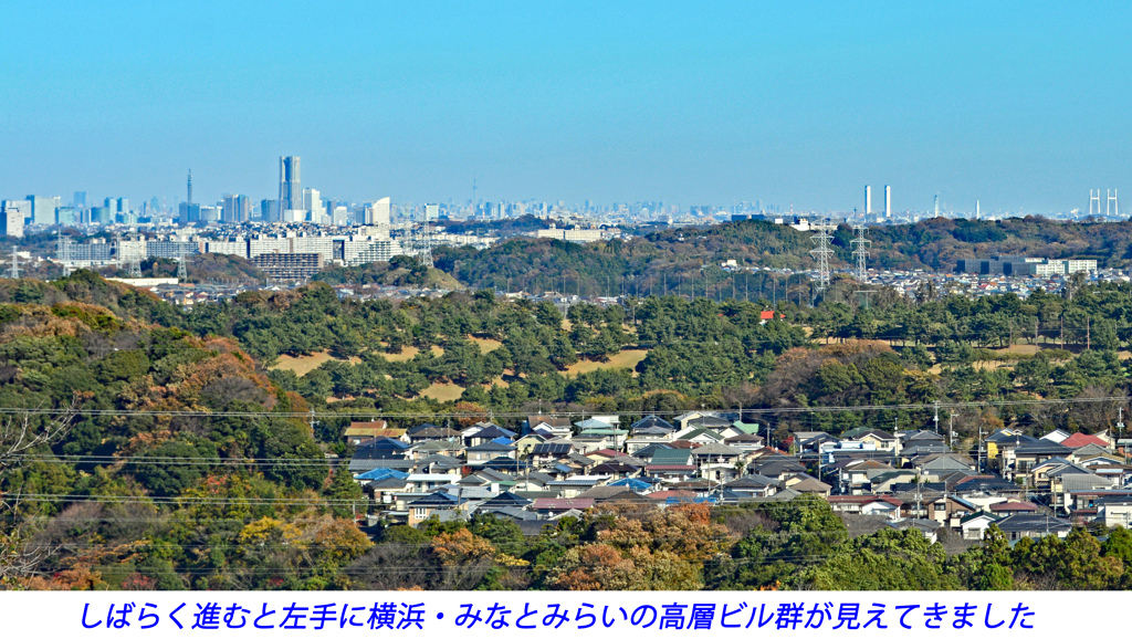 鎌倉アルプス紅葉狩り2014(22)