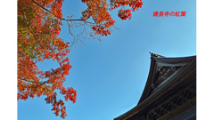 鎌倉アルプス紅葉狩り2014(7)
