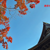 鎌倉アルプス紅葉狩り2014(7)
