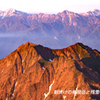八ヶ岳・赤岳登頂の山旅2002：3日目(25)