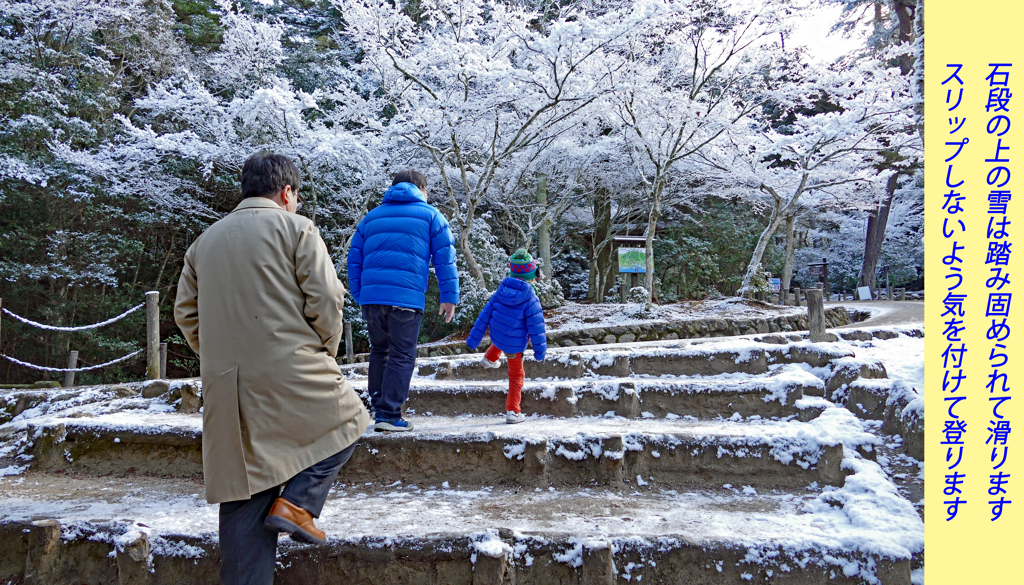 宮島・弥山(みせん)2015：しま山100選・広島県廿日市市(26)