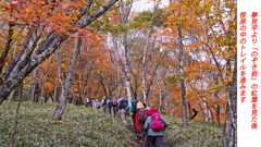 秋色の両神山登頂2012(25)