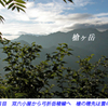 槍ヶ岳登頂の山旅2003：4日目(26)