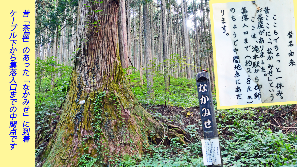 リハビリ山行：御岳山2014(14)