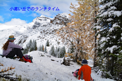 カナダの山旅 D アシニボイン山麓トレッキング(2)：2016(25)