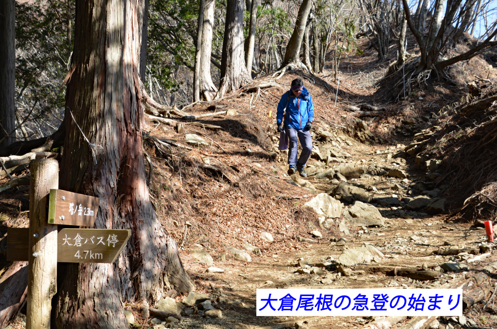 丹沢・塔ノ岳登頂セレクト写真集 2008～2018 (8)
