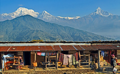 ダンプス村から眺めるアンナプルナサウスとマチャプチャレ