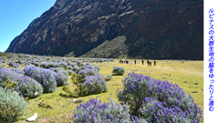 ペルー・アンデス　ブランカ山群トレッキング2015(62)