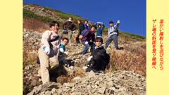 仙丈ケ岳登頂の山旅2001：2日目(19)