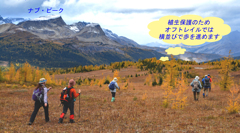 カナダの山旅C　アシニボイン山麓トレッキング(1)：ワンダー・パス(29)