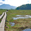 初夏の尾瀬の山旅2007(10)