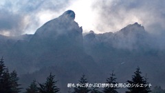 八ヶ岳・赤岳登頂の山旅2002：2日目(9)
