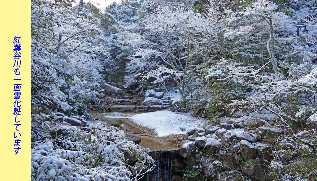 宮島・弥山(みせん)2015：しま山100選・広島県廿日市市(25)